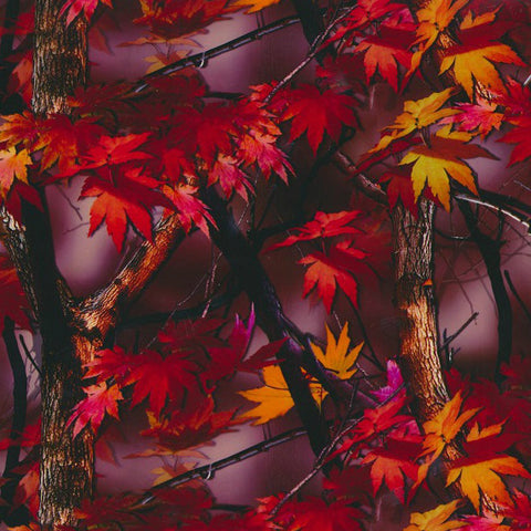 HCA025 - Bright Fall Camo (100cm)