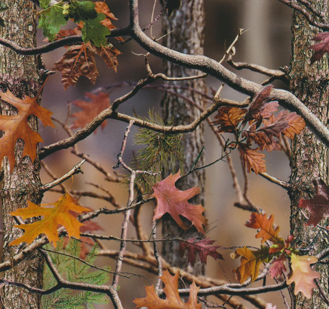 HCA049 - Brisk Autumn Camo (100cm)