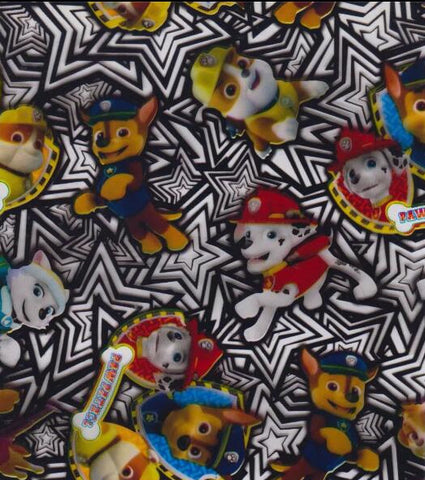(NEW) CAR050 - Paw Patrol (50cm) Hydrographic Film