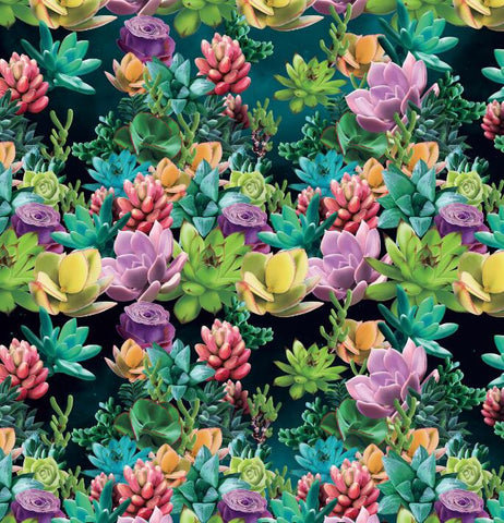 FWR038 - Succulents (50cm)
