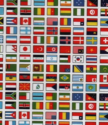FLG017 - United Nations (50cm)
