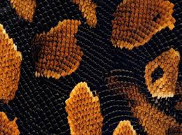 ANM021 - Gold Boa (50cm) Hydrographic Film