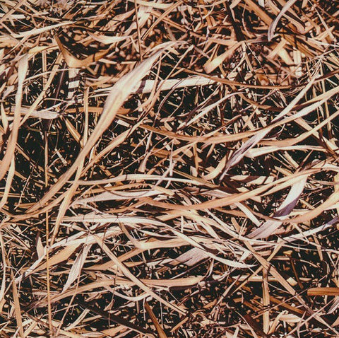 HCA033 - Grass Camo (100cm)