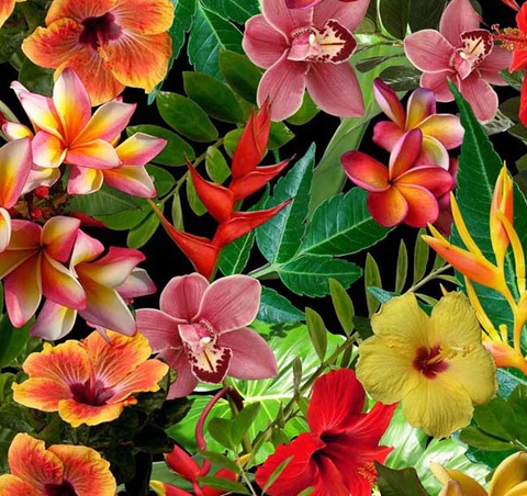 FWR033 - Hawaiian Flowers (50cm)