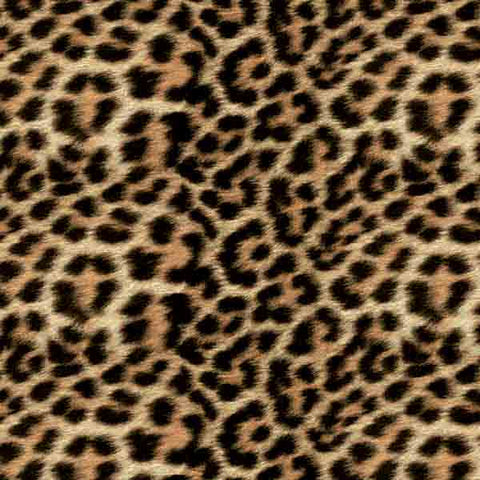 ANM036 - Leopard (50cm) Hydrographic Film