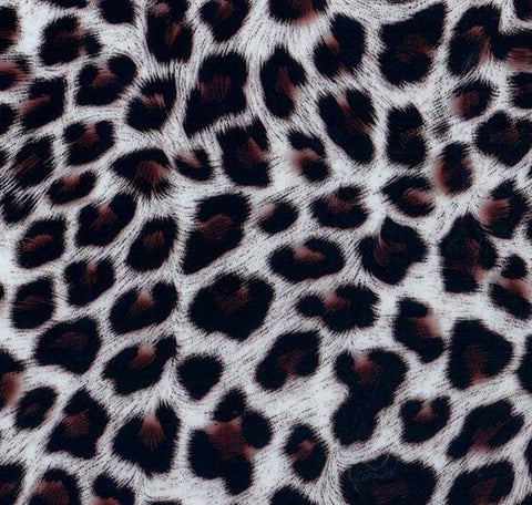 ANM025 - Small Cheetah (50cm) Hydrographic Film