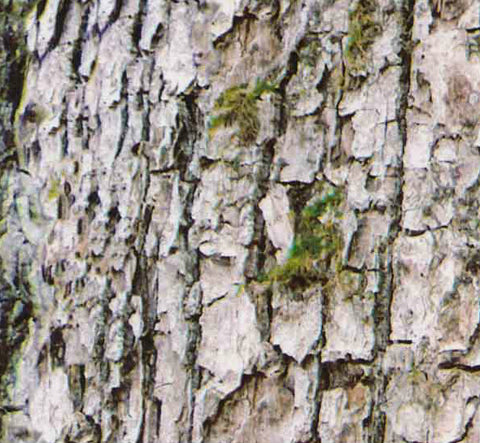 HCA020 - Mossy Bark Camo (100cm)