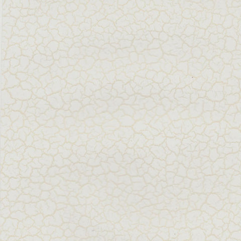 EFC001 - Gold Paint Crackle (50cm) Hydrographic Film
