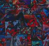 CAR039 - Spiderman (50cm) Hydrographic Film