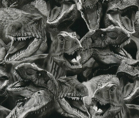 ANM010 - TRex (50cm) Hydrographic Film