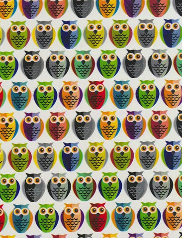 CAR022 - Two Tone Owls (50cm) Hydrographic Film
