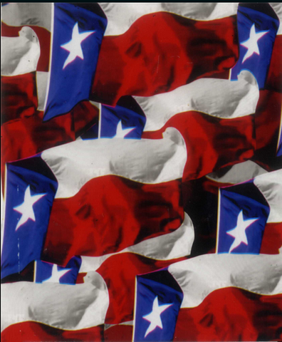 FLG023 - Don't Mess With Texas (100cm)