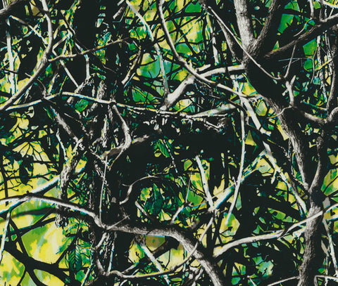 HCA043 - Green Blaze Camo (100cm)