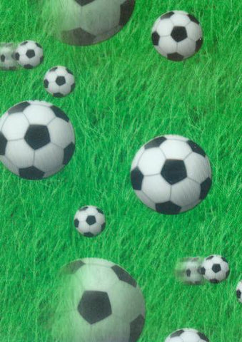 SPT001 - Soccer Balls (50cm)