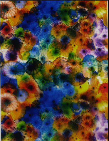 ANM043 - Jellyfish (50cm) Hydrographic Film