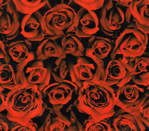 FWR017 - Red Roses (50cm)