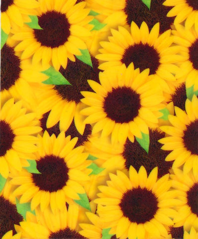 FWR010 - Sunflowers (50cm)